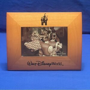 Walt Disney World Frame